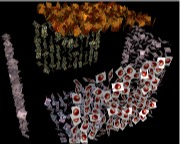 FxPlug Plugin Cube 3D
