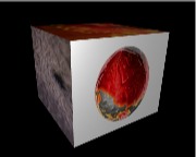 FxPlug Plugin Cube 3D