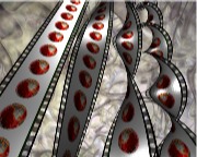 FxPlug Plugin Filmstrip 3D